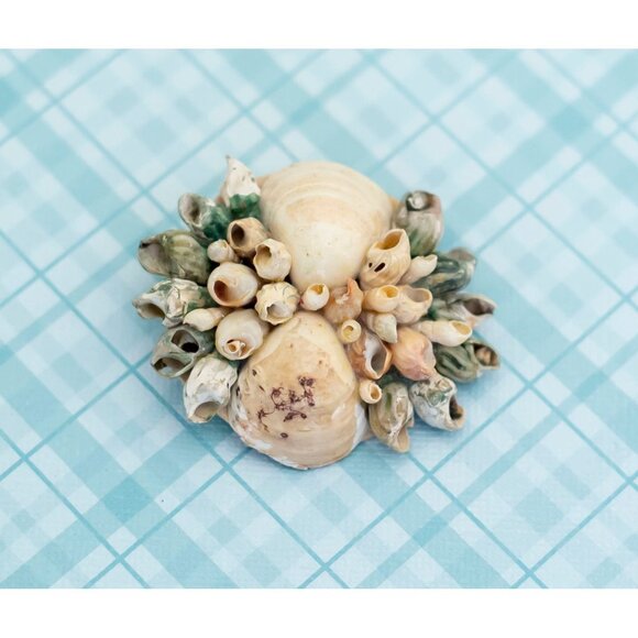 Vintage Shell Colony Brooch - L16 - Picture 1 of 2